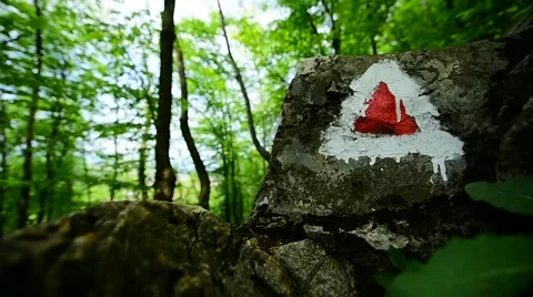 Hiking in the forest Video stock 63856269