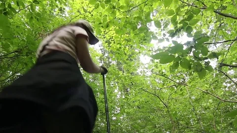 Hiking in the forest Stock Footage 76869602