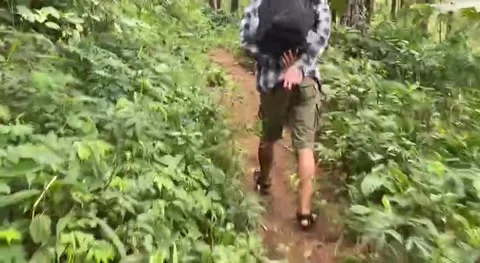 Hiking in the forest sendang east java Stock Footage 239597987