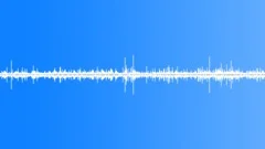 Hiking in the forest - soundSound Effect