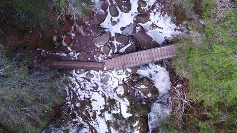 Hiking in forest at winter Stock Footage 105849954