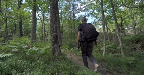 Hiking in forrest 02 Stock Footage 172546149