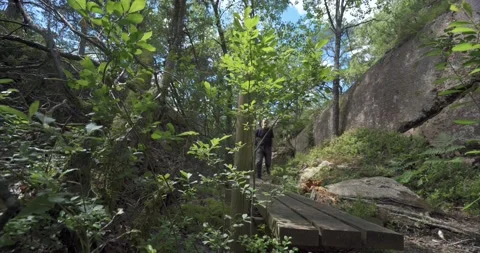 Hiking in forrest 03 Stock Footage 172546150