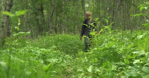 Hiking in forrest 06 Stock Footage 172546234