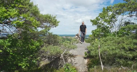 Hiking forrest view 01 Stock Footage 172546248