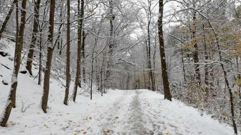 Hiking in Fresh Snow Stock Footage 295381938