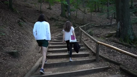 Hiking in German forests. Path to the Saxony Switzerland, Germany. Stock Footage 145964360