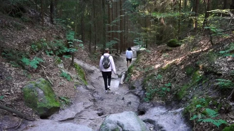 Hiking in German forests. Path to the Saxony Switzerland, Germany. Stock Footage 145964462