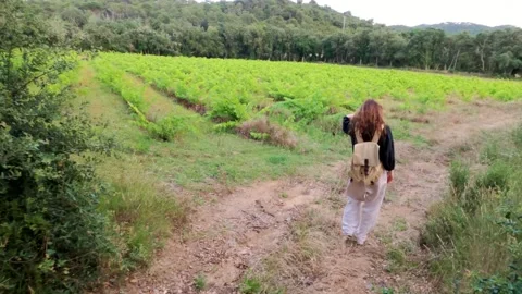 Hiking. A girl with a backpack walks through the green vineyards. Hiking in the Stock Footage 133710124