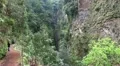 Hiking girl in epic rainforest 20110429 150908 HD Footage