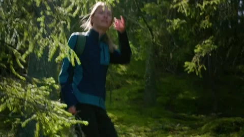 Hiking Girl Walking In Woods With Backpack Stock Footage 168819828