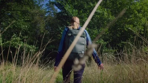Hiking Girl Walking In Woods With Backpack Stock Footage 168819829