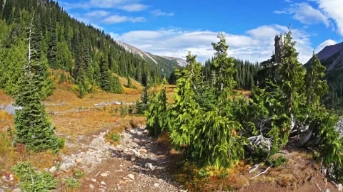 Hiking the Glacier Basin Trail in Mount Rainier National Park, Washington State, Vídeo Stock 332144548
