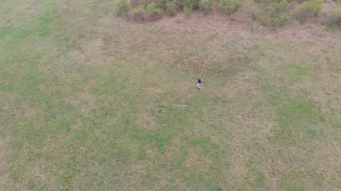 Hiking in green nature environment at springtime. Aerial  view video. Stock Footage 106468586