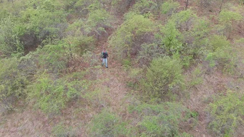 Hiking in green nature environment at springtime. Aerial  view video. Stock Footage 106471153