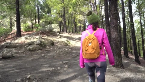 Hiking group ascend to Roque Nublo in a misty morning with fog 库存影片 231789908