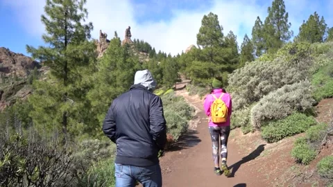 Hiking group ascend to Roque Nublo in a misty morning with fog Video stock 231789996