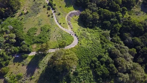 Hiking Group in Park Stock Footage 79235752