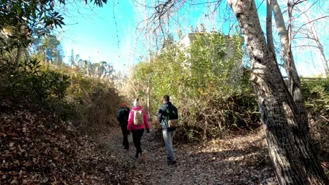 Hiking group walking through path in mountain top against beautiful landscape Video stock 146363902