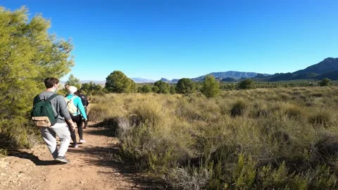 Hiking group walking through path in mountain top against beautiful landscape Stock-Footage 146364058