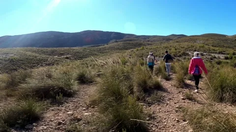Hiking group walking through path in mountain top against beautiful landscape Stock-Footage 146544454