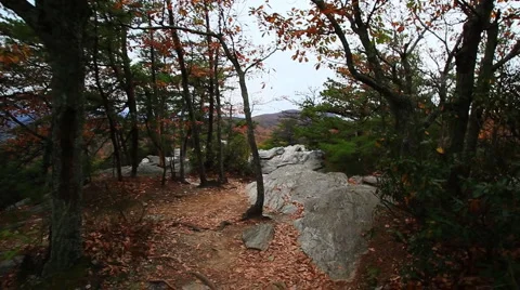 Hiking at Hanging Rock State Park in North Carolina Stock Footage