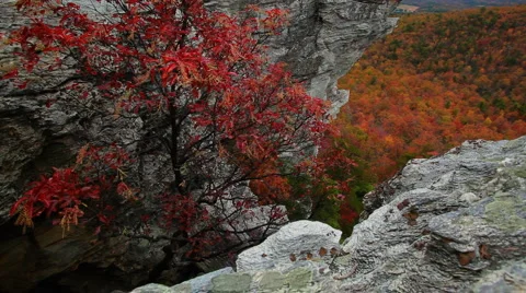 Hiking at Hanging Rock State Park in North Carolina Stock Footage