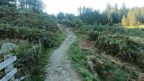 Hiking up Helvellyn Stock Footage 118016059