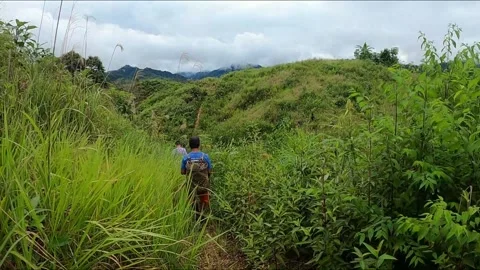 Hiking hilltop in Borneo HD Stock Footage 210694904