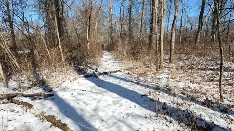 Hiking icy trail in the Great Swamp on a snowy cold sunny February day Stock Footage 344056653