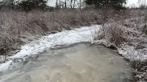 Hiking on icy trail in the swamp with dusting of snow in January Stock Footage 302114078