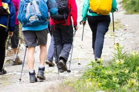 Hiking Stock Illustration