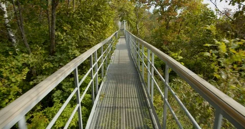 Hiking on the iron bridge in a dense forest in the mountains. Stock Footage 127084078