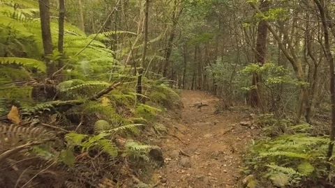 Hiking In Japan Video stock 82289172