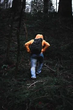 Hiking man in a dark forest, Italy. Stock Photos