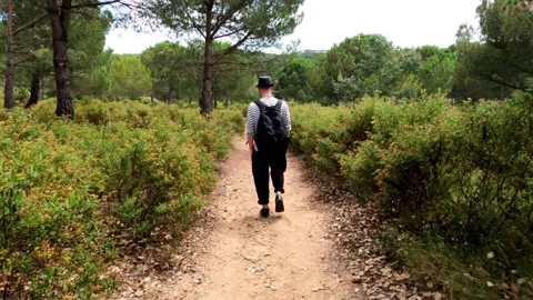 Hiking. A man in hat with a backpack walks on a forest path. Hiking in the woods Stock Footage 133710513
