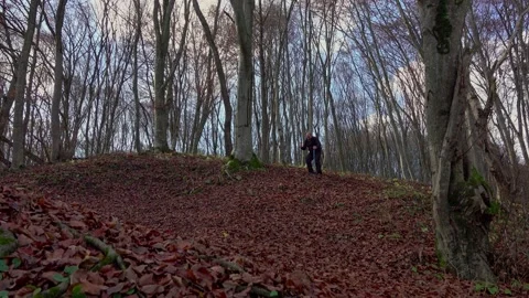Hiking man losing his step and falling in the mountain forest Stock Footage 224061450