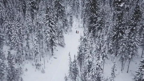 Hiking Man Walks Through Deep Snow In The Winter Forest Aerial View. Stock Footage 107898235