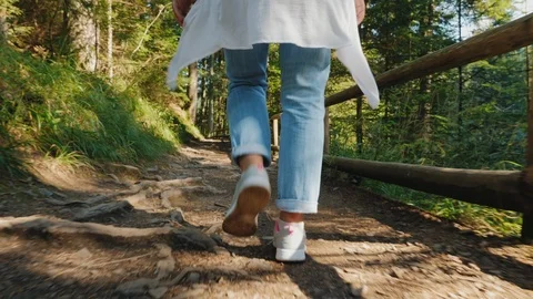 Hiking in a mountain forest Stock Footage 115479407