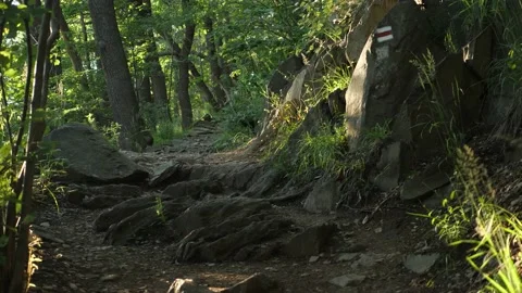 Hiking mountain path POV glide shot Video stock 156751266