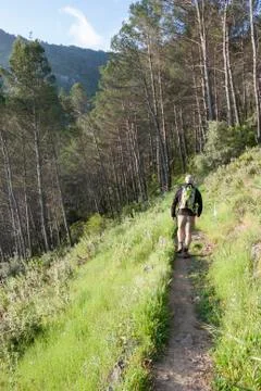 Hiking in the mountain Stock Photos