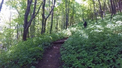 Hiking Up a Mountain Trail Stock Footage