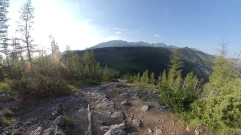 Hiking on Mountain Trail POV Tracking Shot Stock Footage 140973448
