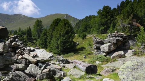 Hiking in the mountains, balancing on trunk, alps, Nockberge Stock Footage 90146439