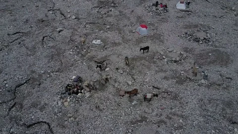 Hiking in the mountains Stock Footage 92903655