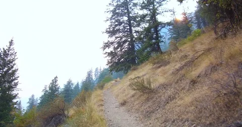 Hiking in the mountains Stock Footage 93980316