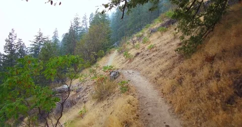 Hiking in the mountains Stock Footage 93980358