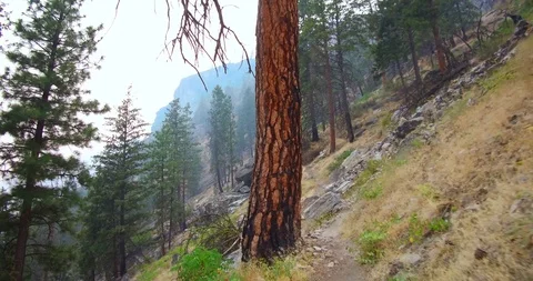 Hiking in the mountains Stock Footage 93980432