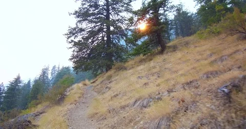 Hiking in the mountains Stock Footage 93981214