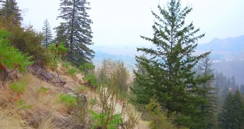 Hiking in the mountains Stock Footage 93981216